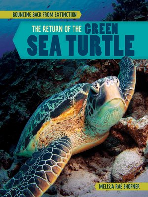 cover image of The Return of the Green Sea Turtle